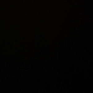 Meet your Posher, Maya